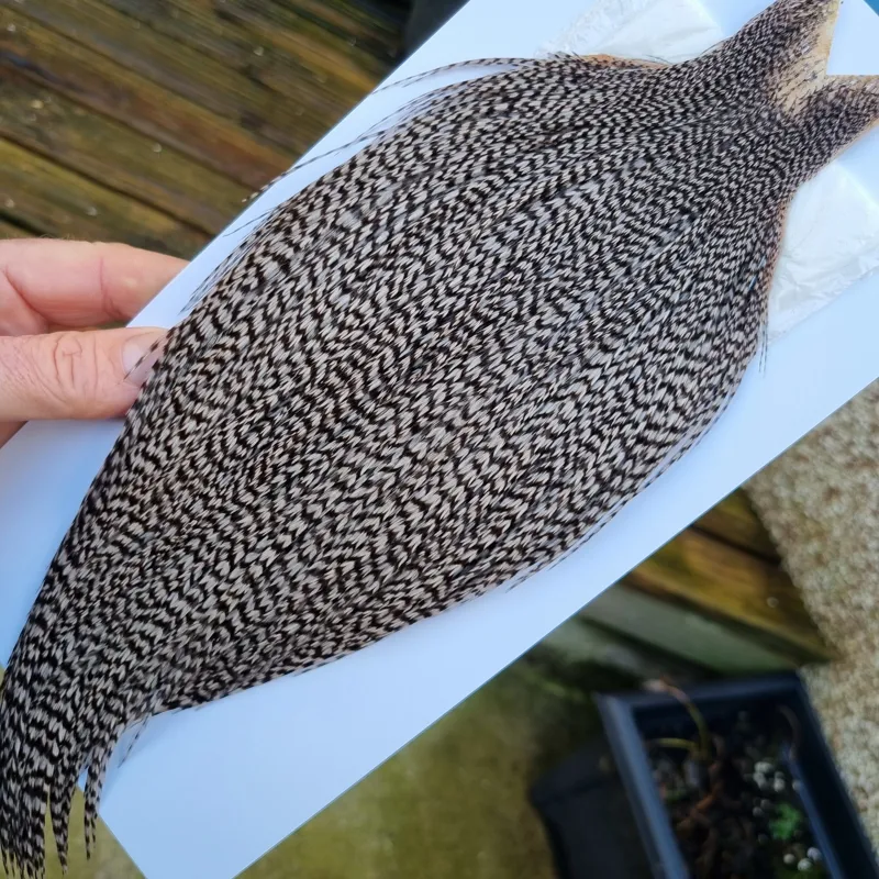 Whiting High and Dry Rooster Cape in Grizzly Dyed Medium Dun-3